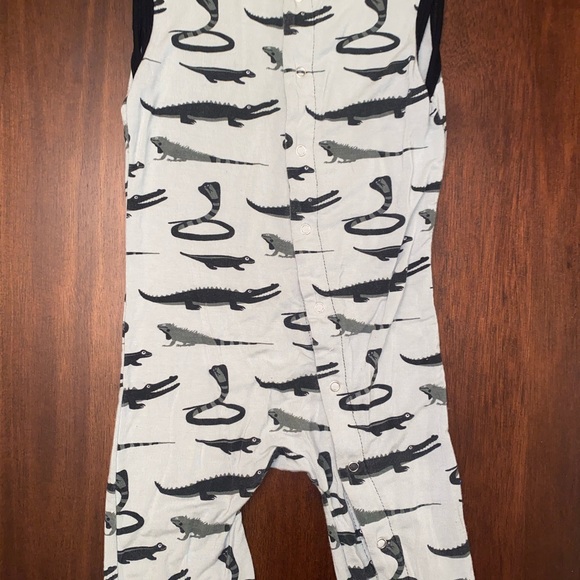 🐍🦎Kickee Bundle🦎🐍 - Picture 2 of 12